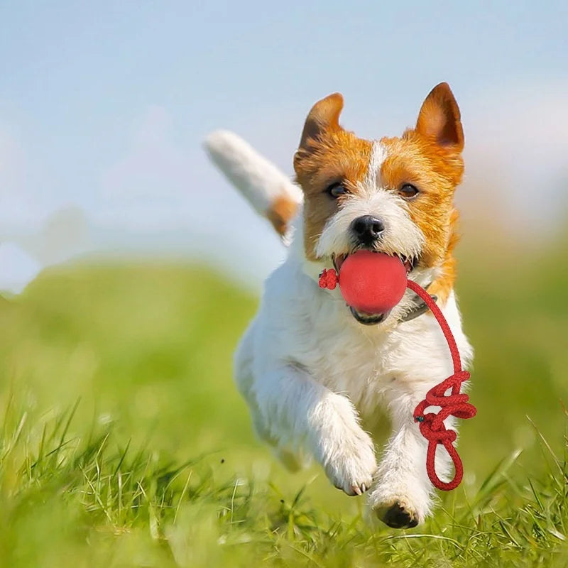 Indestructible Dog Ball Pet Training Dog Toy Puppy Tug Balls Toys Pet Chew Toys Solid Rubber Balls with Rope Pet Toy