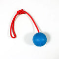 Indestructible Dog Ball Pet Training Dog Toy Puppy Tug Balls Toys Pet Chew Toys Solid Rubber Balls with Rope Pet Toy