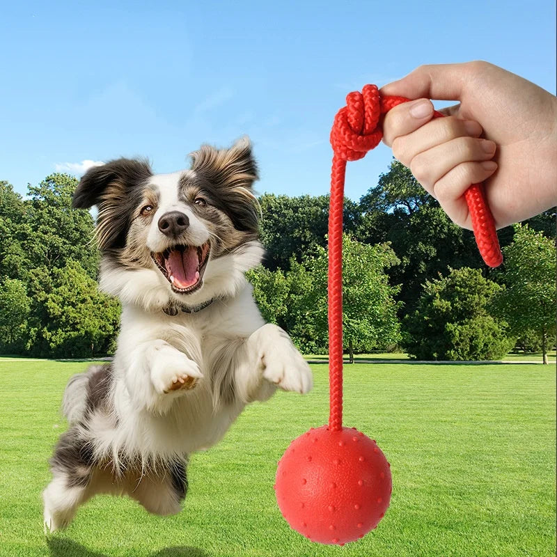 Indestructible Dog Ball Pet Training Dog Toy Puppy Tug Balls Toys Pet Chew Toys Solid Rubber Balls with Rope Pet Toy