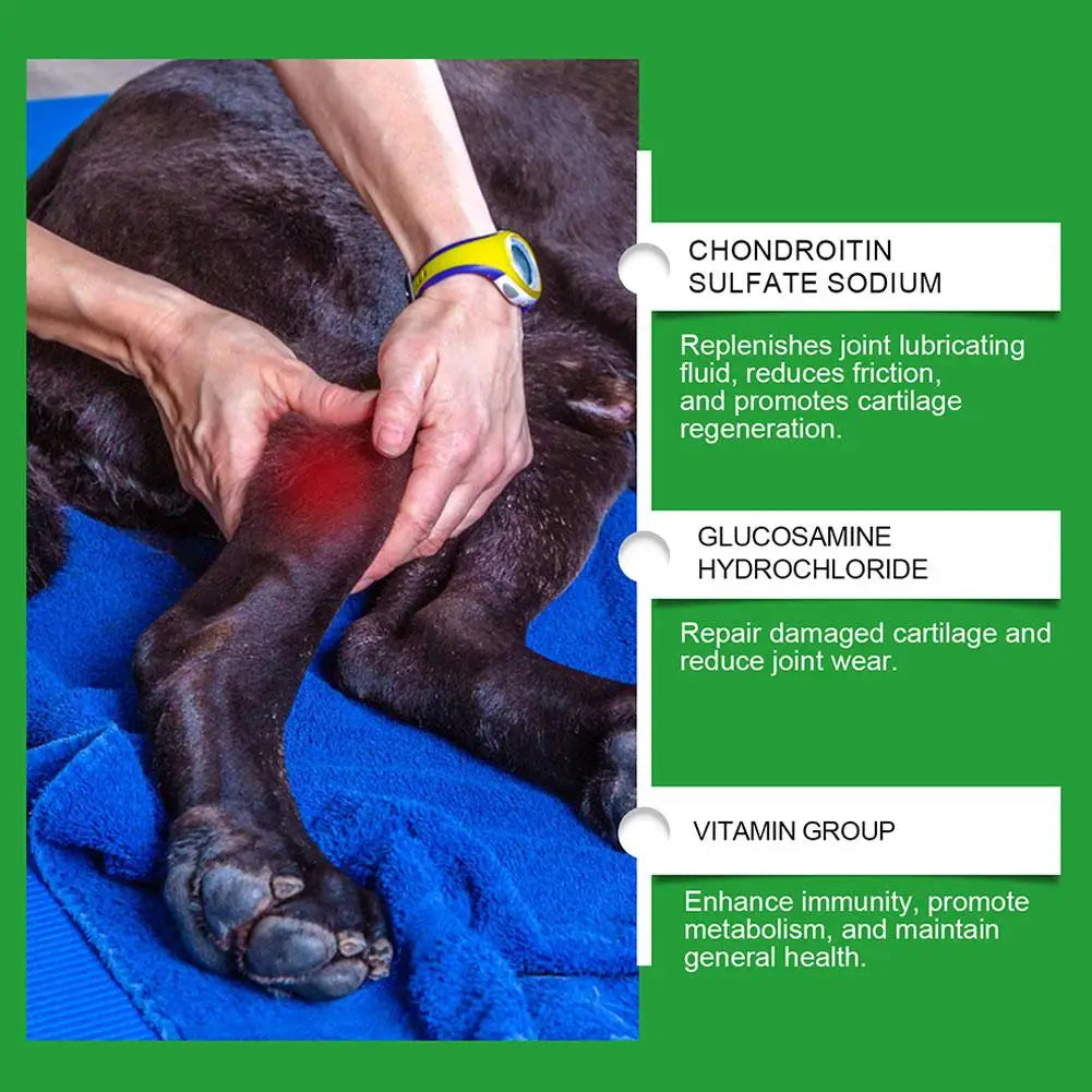 Dog Joint Care Tablets Pet Joint Support Supplement Boost Energy Relieve Pain Protect Cartilage For Senior Dogs Pet Supplies