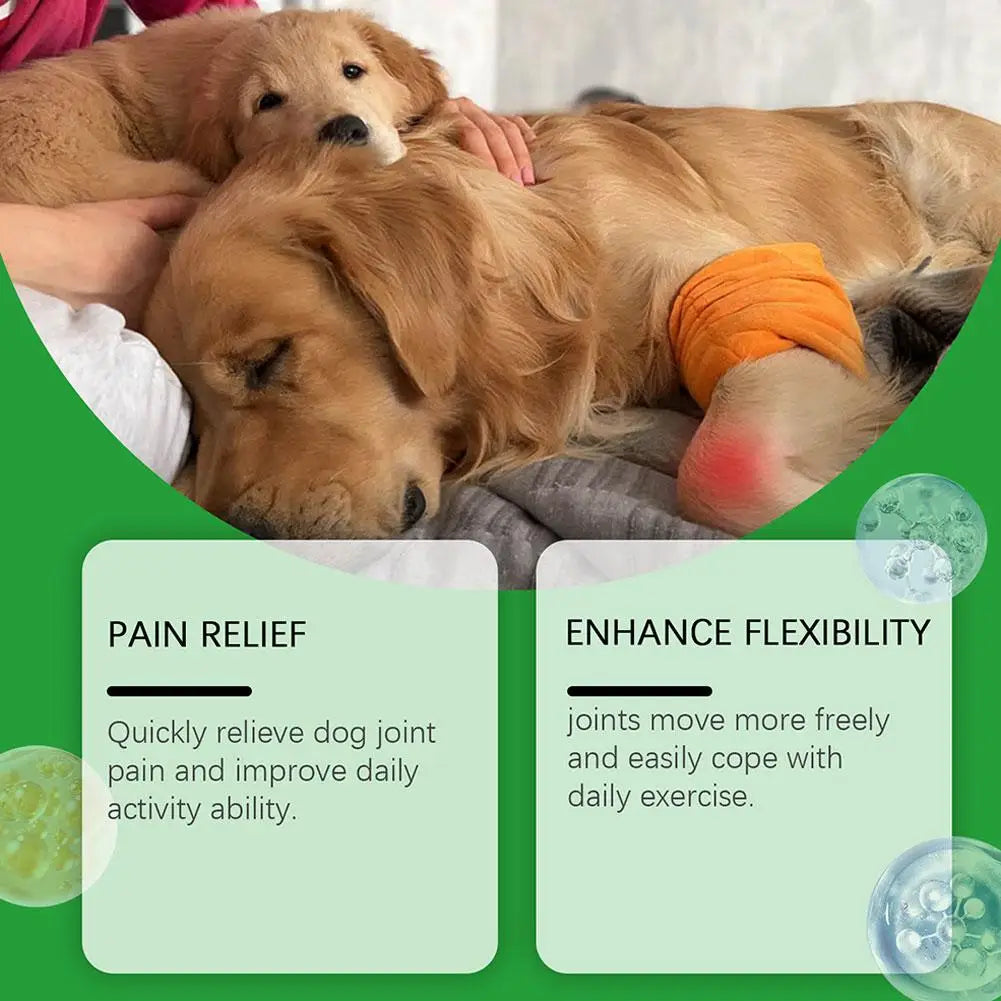 Dog Joint Care Tablets Pet Joint Support Supplement Boost Energy Relieve Pain Protect Cartilage For Senior Dogs Pet Supplies