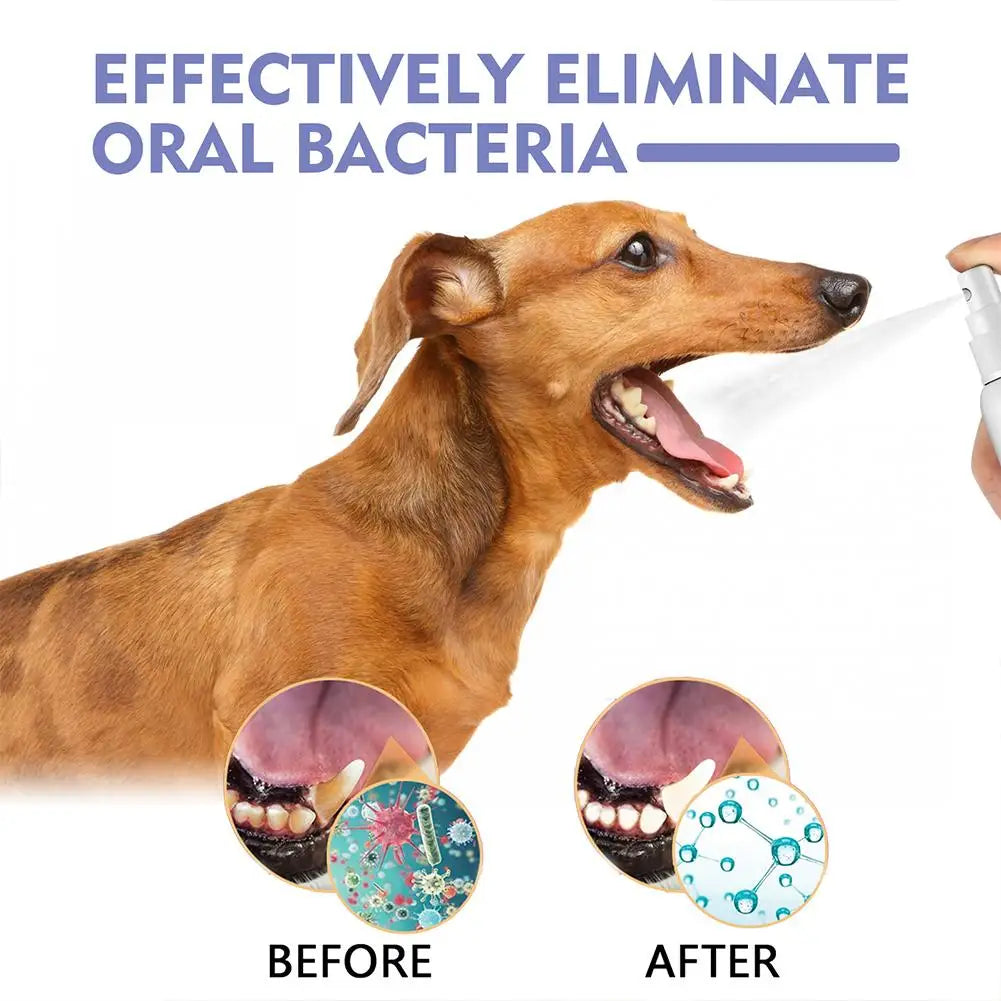 30ml Pet Oral Spray Dogs Teeth Cleaning Spray Dog Breath Remover Pet Supply Pet Care Plaque Deodorant Freshener Pet H5M7